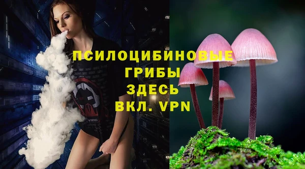 марихуана Абаза