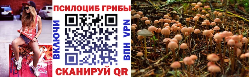 Галлюциногенные грибы Magic Shrooms  цены наркотик  Партизанск 